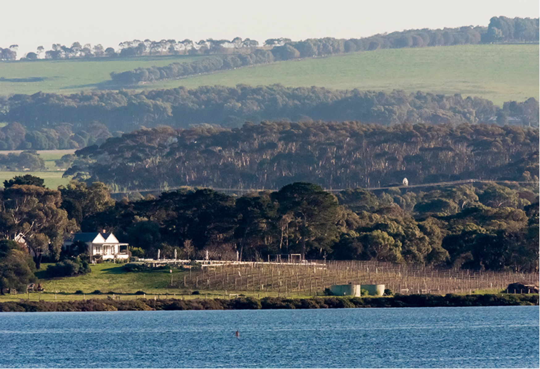 Screen Shot 2018-04-08 at 8.20.02 am