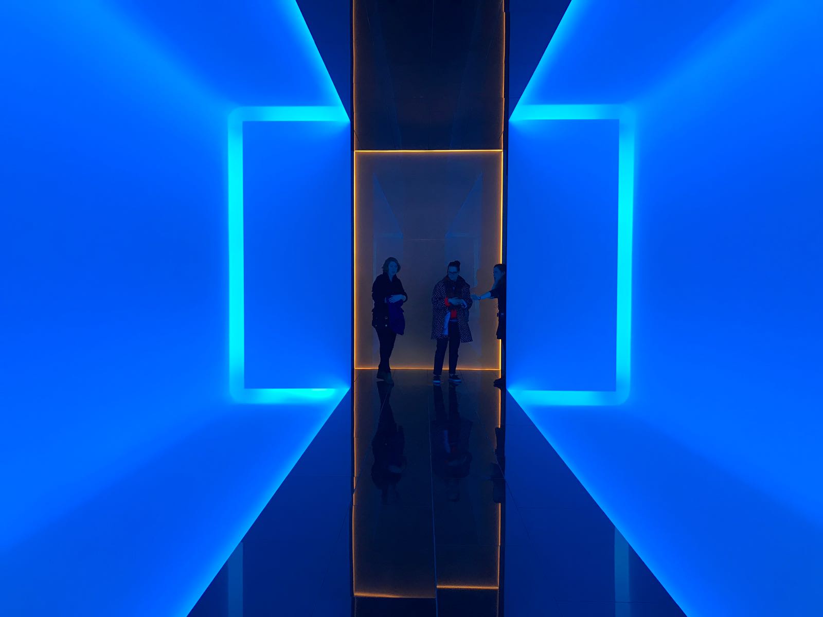 1d4a2931-95e5-4a54-9893-7d1db9c8f482