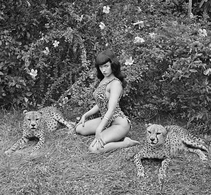 Betty Page posing with cheetas (1954)